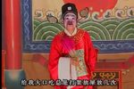 钱树记 雷剧