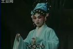 皇帝寻妹 雷剧