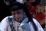 蝴蝶梦·劈棺 精选片段