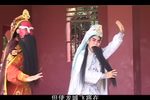 金叶菊 陷驿