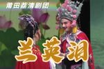 兰英泪 高清