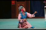 春草闯堂·抬轿