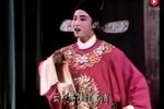 杨柳恨 全本