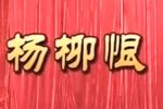 杨柳恨 2016