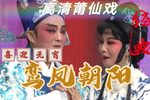 鸾凤朝阳 高清