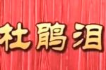 杜鹃泪 2016 全剧 二团演出 高清
