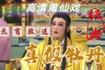 真假牡丹 高清