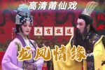 龙凤情缘 高清