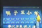 鸭子丑小传