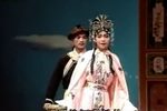 彩楼记 全本下载