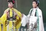 两妻告夫下载