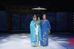 踏伞行下载