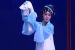 窦氏女之寻子