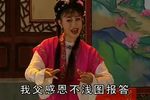 双玉蝉 全剧