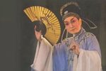桑园访妻