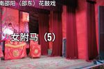 女驸马 5