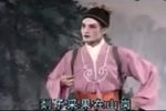 剡子采果在山岗 衡山调