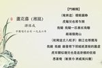 芦花荡