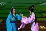 槐荫记 2020新年戏曲晚会