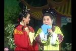 二百五外传之看亲下载
