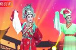 赵美蓉观灯下载