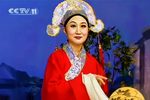 赵美蓉观灯 选段
