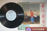 新人骏马 （二）