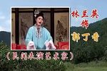 休丁香 全本
