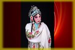 潘杨讼 上集下载