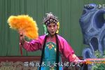王小打鸟