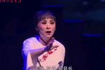 铡刀下的红梅 唱段下载