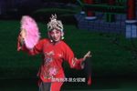 王小打鸟
