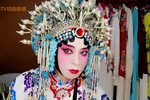 潘杨讼