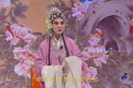 王清明投亲 第3本下载