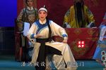 潘杨讼