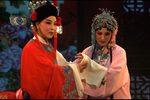 五花马