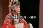 游西湖