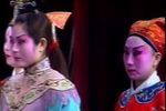 佘太君辞朝