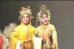 呼家将.呼丕显征西