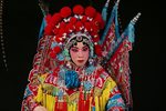 杨金花夺印 音频版