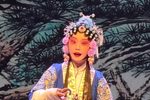 穆桂英挂帅 学员版下载