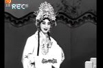 桃李梅 选段