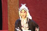 潘杨讼