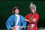 王小打鸟