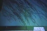 青丝恨
