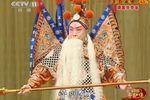 定军山 精彩选段