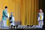 二进宫 四季花