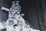 挡马