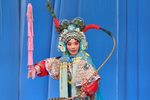双阳公主·问樵