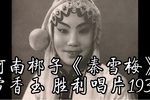 秦雪梅·闹书馆